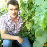 ���������� ������������, ���� ������� �������, 50 ���, ������������ 