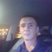  -,   , 48 ,  