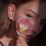  ,   , 25 ,  