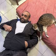  Tel Aviv-Yafo,   Tommer, 38 ,   ,   , c , 