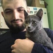 ���������� ���������, ���� ������� ��������, 28 ���, ������������ ��� ������, ����� � ���������, c�������� ���������