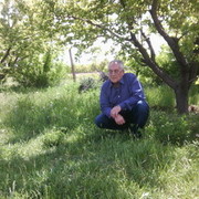 ���������� ������, ���� ������� AVETIS, 56 ���, ������������ ��� ������, ����� � ���������, c�������� ���������, ���������