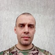  ,  , 41