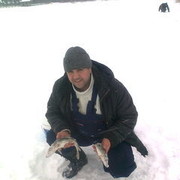 ���������� ������, ���� ������� ����, 45 ���, ������������ ��� ������