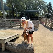 ���������� ������, ���� ������� ����������, 27 ���, ������������ ��� ������, ����� � ���������