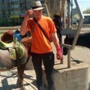  ,   , 37 ,   