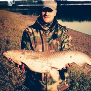 ���������� �����, ���� ������� �������, 44 ����, ������������ ��� ������, ����� � ���������, c�������� ���������