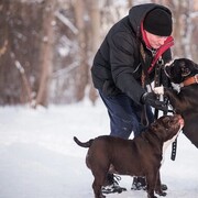 ���������� �����, ���� ������� ������, 59 ���, ������������ ��� ������, ����� � ���������