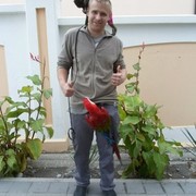   ,   , 35 ,   ,   , c 