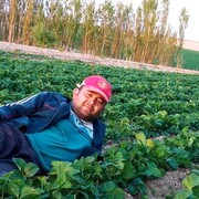  ,   , 33 ,   c 