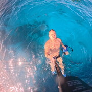 ���������� �����, ���� ������� ���������, 36 ���, ������������ ��� ������, c�������� ���������