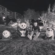 ���������� ������������, ���� ������� ����, 26 ���, ������������ ��� ������, ����� � ���������