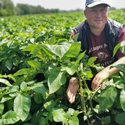 ���������� ���������, ������� ���, 51