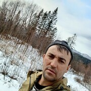  --,   , 41 ,   