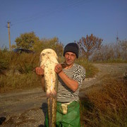 ���������� ���������, ���� ������� �������, 45 ���, ������������ ��� ������