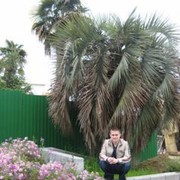 ���������� ������, ���� ������� ������, 37 ���, ������������ ��� ����� � ���������, c�������� ���������, ���������