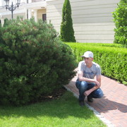  ,   , 51 ,     , c 