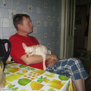  ,   , 50 ,  
