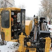 ���������� �����, ���� ������� ���, 39 ���, ������������ ��� ������