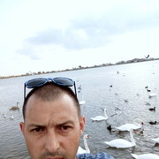  -,   AngryDriver, 43 ,   ,   , c 