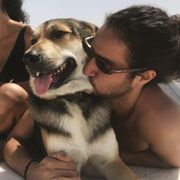 ���������� ������, ���� ������� Crave, 29 ���, ������������ ��� ������, ����� � ���������, c�������� ���������