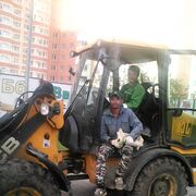 ���������� ������, ���� ������� �����, 38 ���, ������������ ��� ������, ����� � ���������