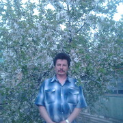  ,   , 55 ,   ,   , 