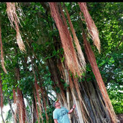 ���������� ��������, ���� ������� ��������, 50 ���, ������������ ��� ������, ����� � ���������, c�������� ���������, ���������