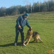  ,    , 34 ,   