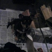 � ����� ��� ����� .....
� ���������� �� ���� ����� ��������