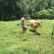  -,   Reginaldo C, 45 ,   ,   