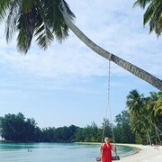 ���������� ����, ���� ������� �����, 43 ����, ������������ ��� ����� � ���������, c�������� ���������