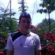  ,   Arhangel, 35 ,   