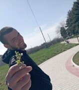  ,   , 29 ,   ,   , 