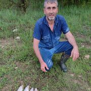 ���������� �������, ������� Osman seven, 43