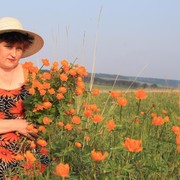 ���������� ������, ���� ������� ������ ��, 54 ����, ������������ ��� ������, ����� � ���������, c�������� ���������