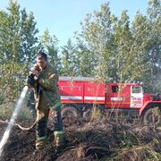 ���������� �����, ���� ������� ������, 37 ���, ������������ ��� ����� � ���������, c�������� ���������