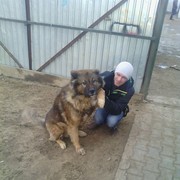 ���������� �������, ���� ������� ���������, 43 ����, ������������ ��� ������, ����� � ���������, c�������� ���������