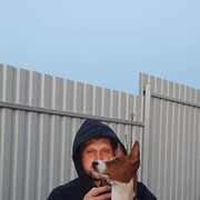 ���������� ������, ���� ������� �������, 42 ����, ������������ ��� ������, ����� � ���������