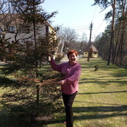 ���������� ������ ���, ���� ������� �����, 53 ����, ������������ ��� ����� � ���������, c�������� ���������