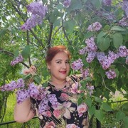 ���������� ������, ���� ������� ����, 49 ���, ������������ ��� ����� � ���������, c�������� ���������