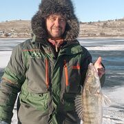 ���������� ����������, ���� ������� ��������, 55 ���, ������������ ��� c�������� ���������