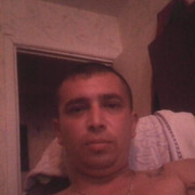   ,  vitek, 44