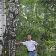 ���������� �����������, ���� ������� ������, 41 ���, ������������ ��� c�������� ���������