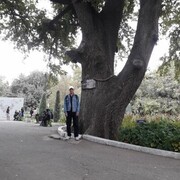 ���������� ������������, ���� ������� ���������, 52 ����, ������������ ��� ������, ����� � ���������, c�������� ���������, ���������