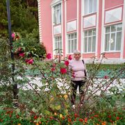 ���������� �������, ���� ������� ������, 67 ���, ������������ ��� ������, ����� � ���������