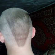  ,   , 31 ,  