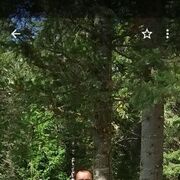  ,  , 58