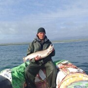 ���������� �����������, ���� ������� ��������, 39 ���, ������������ ��� ������, ����� � ���������, c�������� ���������