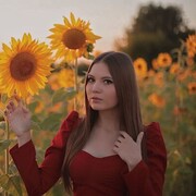  ,  , 26